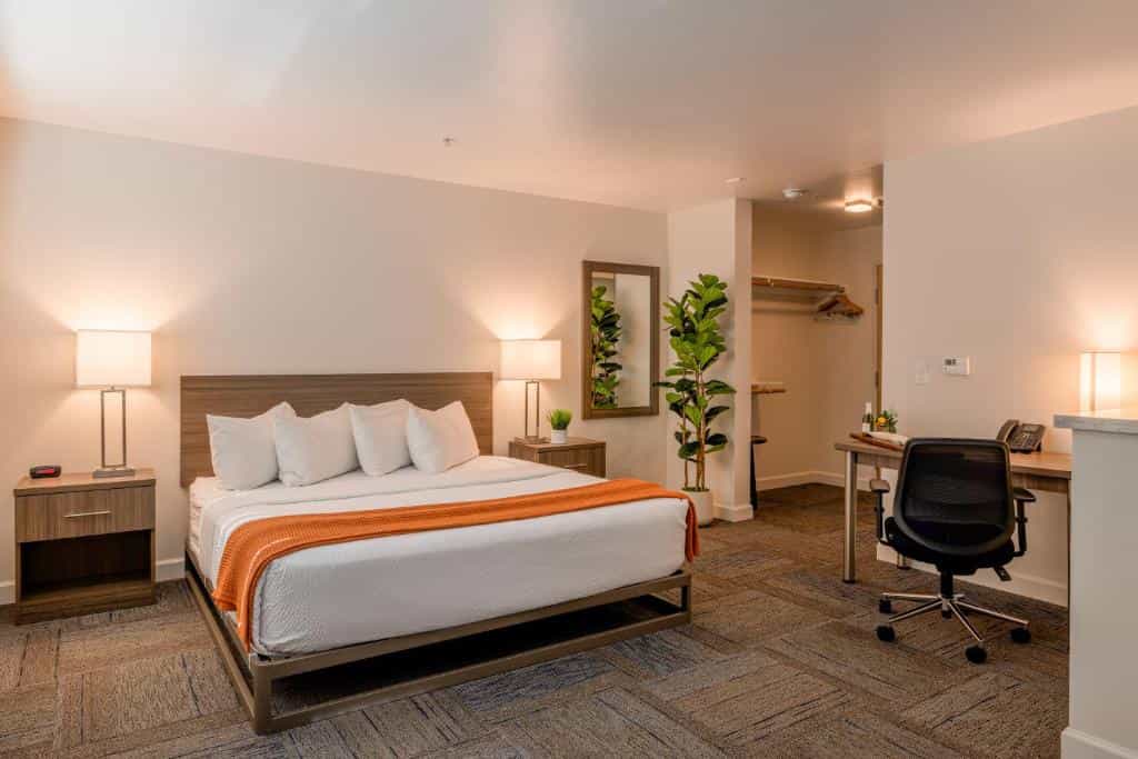 Hotel room with a queen bed, orange throw blanket, desk, office chair, and potted plant.