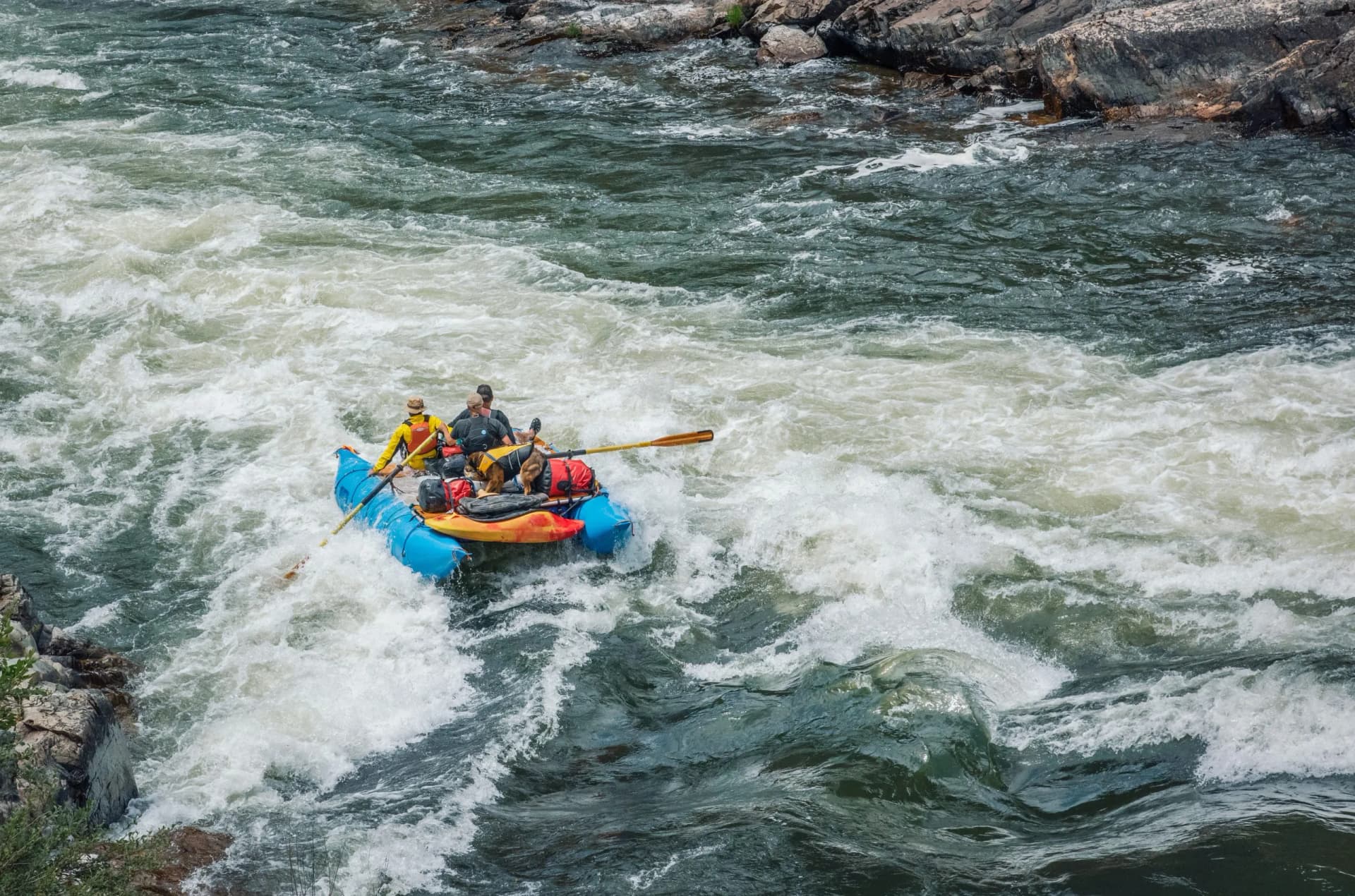 Rafting on whitewater rapids of the Rogue River in Southern Oregon with people and a dog.