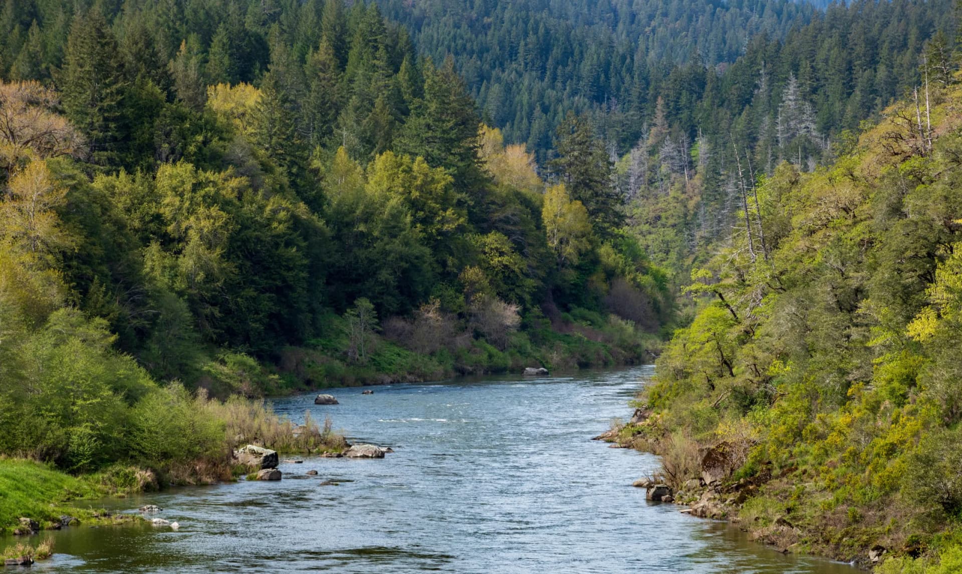 River flowing through steep canyon walls covered in dense green forest in Rogue River Wilderness Area.