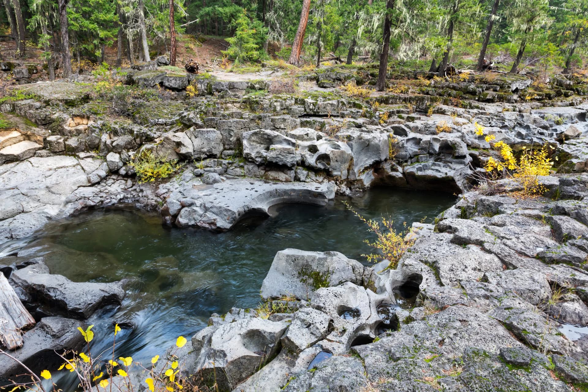 Rogue River Gorge with sculpted basalt rocks, dark water pools, and autumn foliage in the forest.