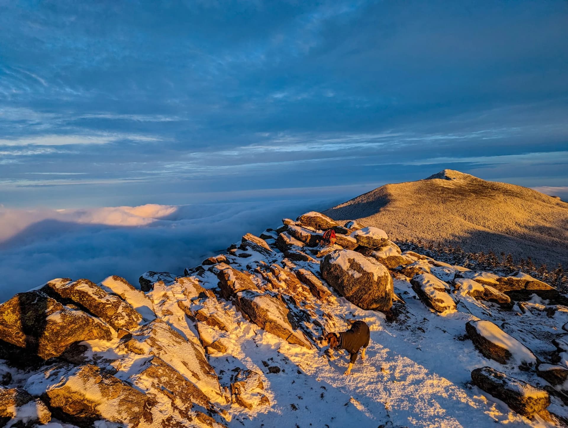 Dog hiking on snow-covered Franconia Ridge, New Hampshire, above the clouds at sunrise.