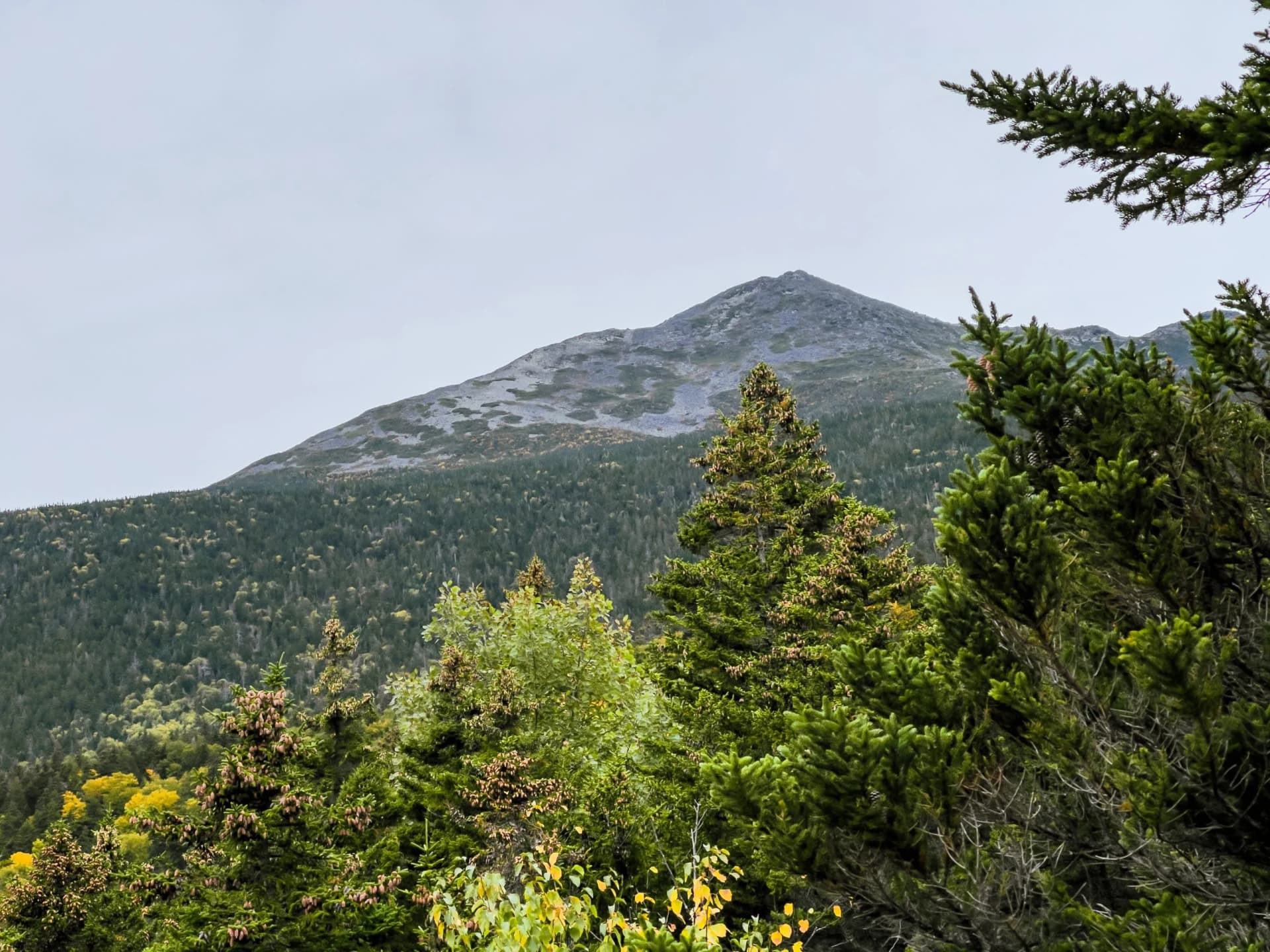 Mountain peak above dense forest with green and yellow autumn foliage visible.