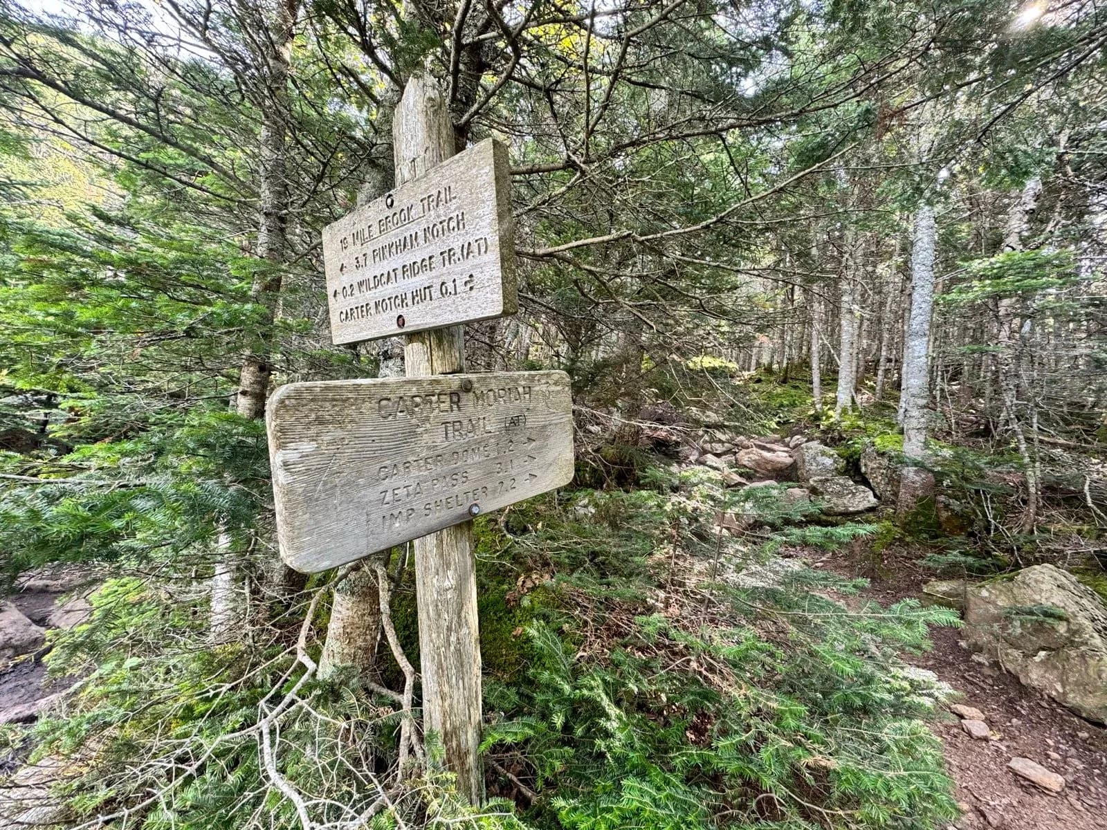 Wooden trail signpost with directions for Carter Notch Trail in a dense, rocky forest.