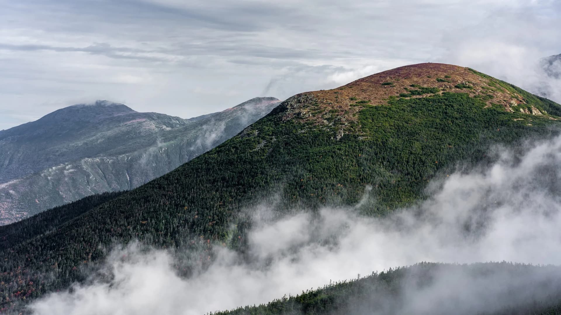 Mountain slopes covered in dark green forest emerging from thick fog under a cloudy sky, Mount Eisenhower.
