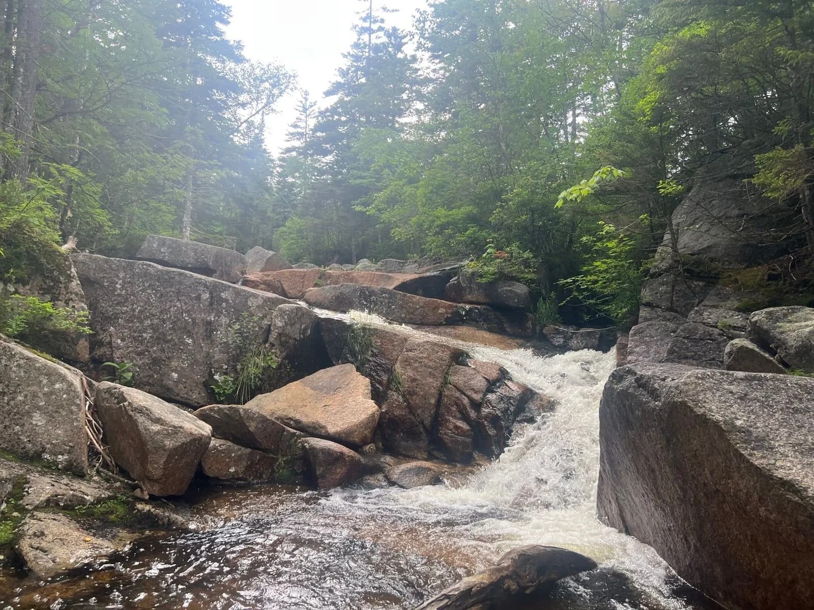 near-zealand-falls-hut