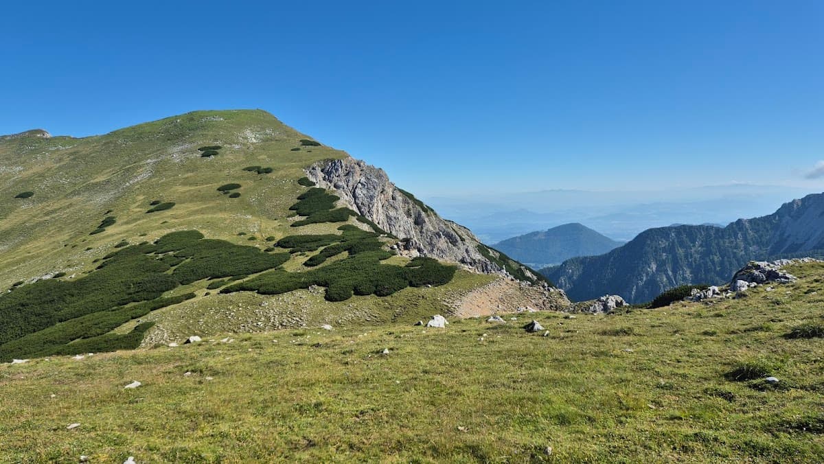 Grassy mountain slope with scattered shrubs and distant hazy peaks under a clear blue sky.