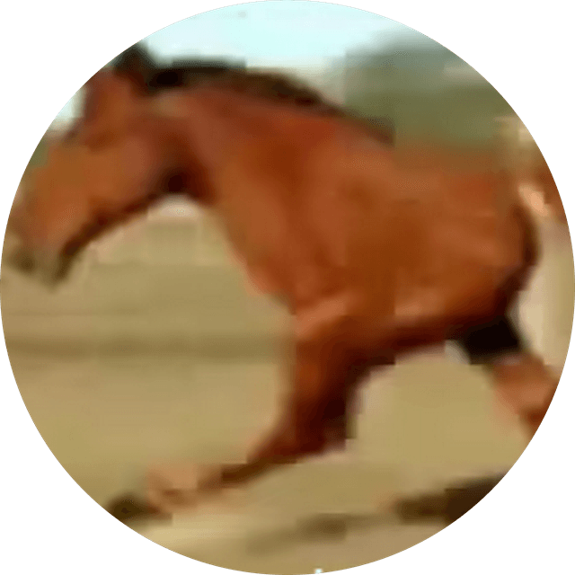 Victor Liu's profile photo