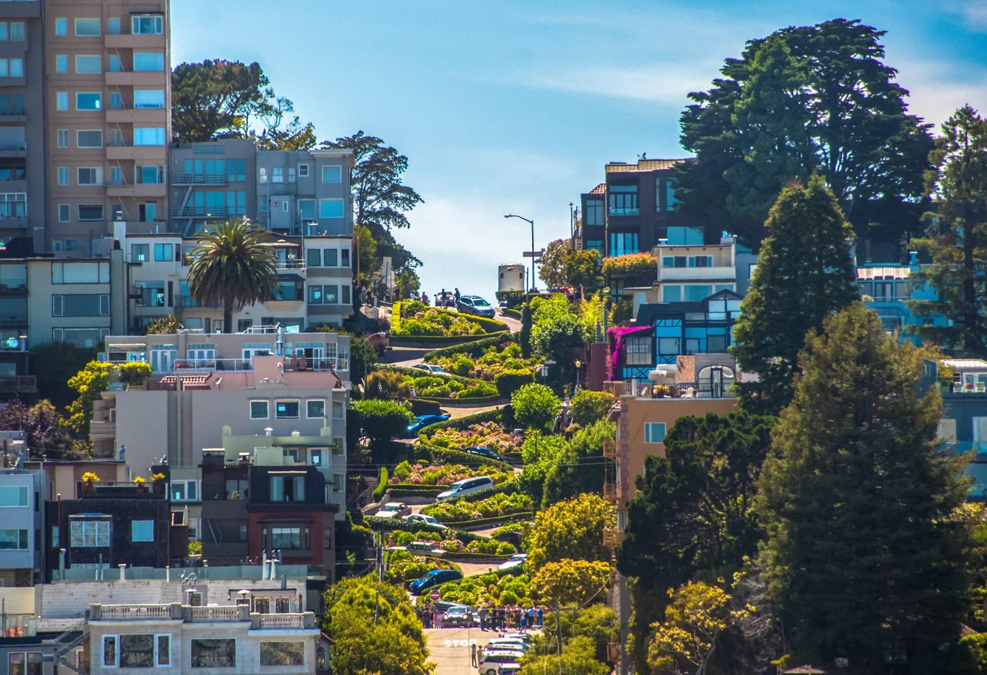 Lombard Street in San Francisco with cars navigating the sharp curves lined with lush greenery.
