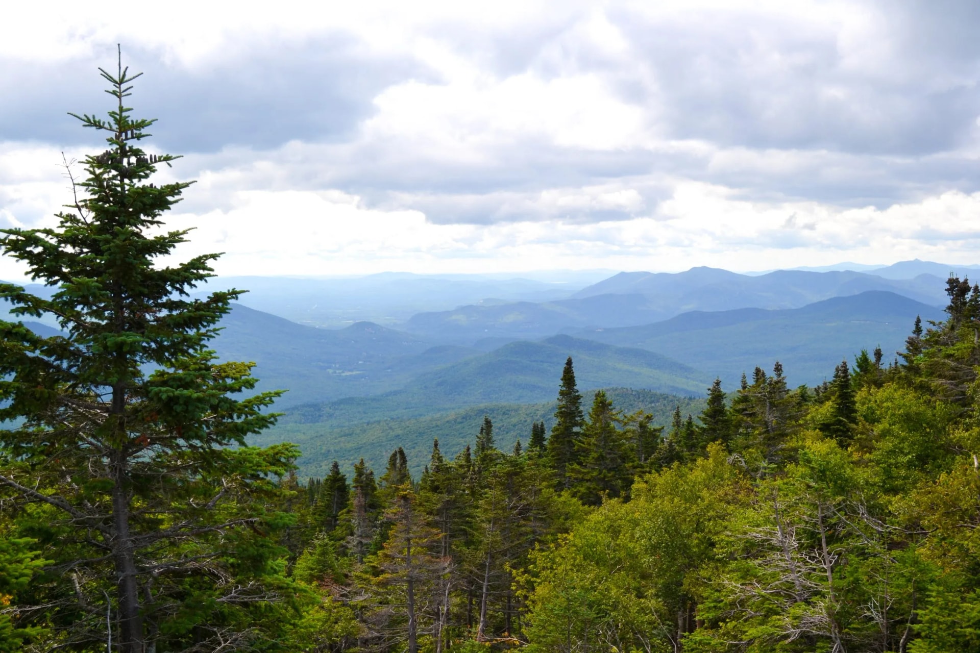 on-the-summit-of-wildcat-mountain-scaled