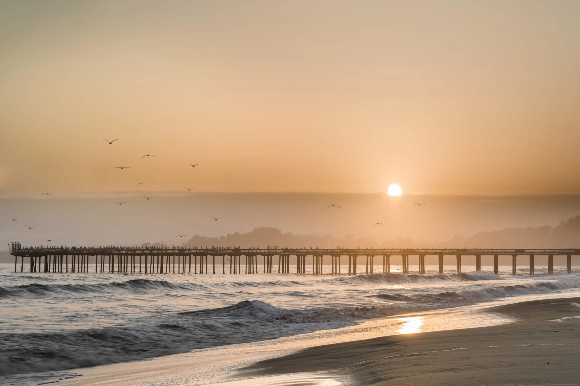 Hazy sunset over Seacliff State Beach pier with birds perched and flying over the ocean.