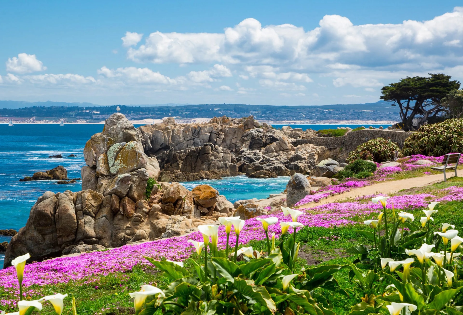 California beach