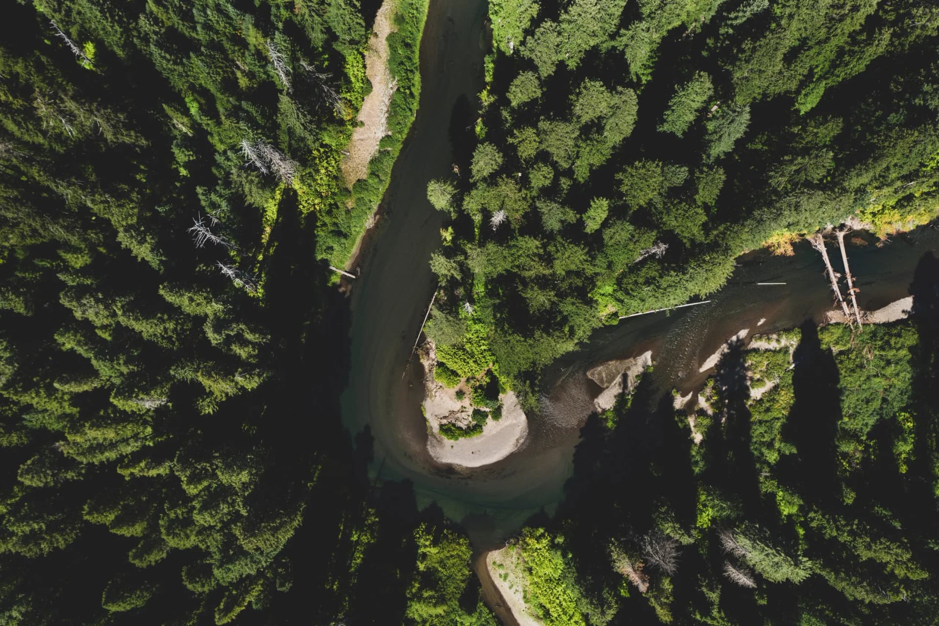 Aerial view of the Upper Rogue River winding through dense green forest in Southern Oregon.