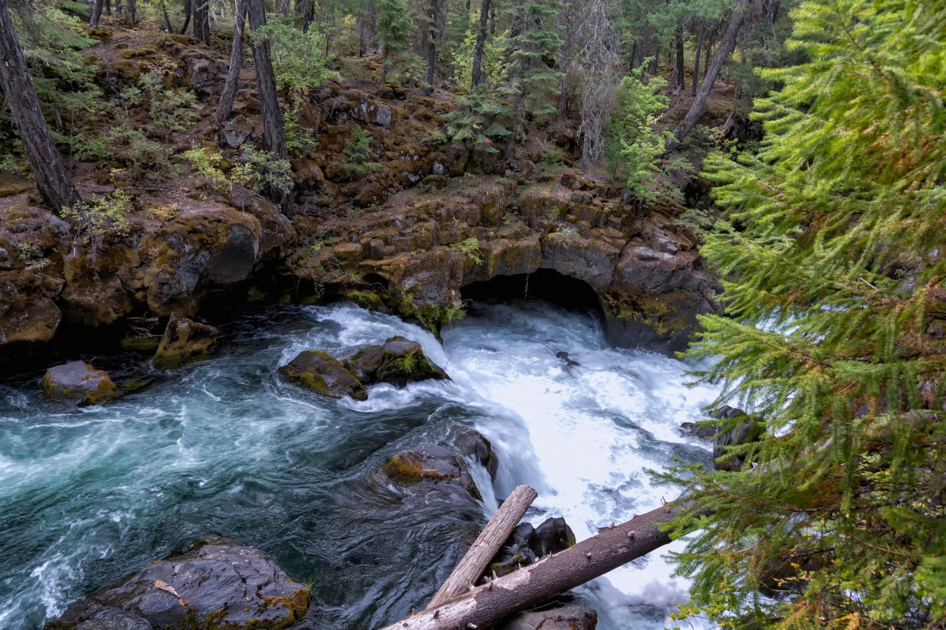 Rogue River rapids flowing through a dark cave opening in a mossy forest setting