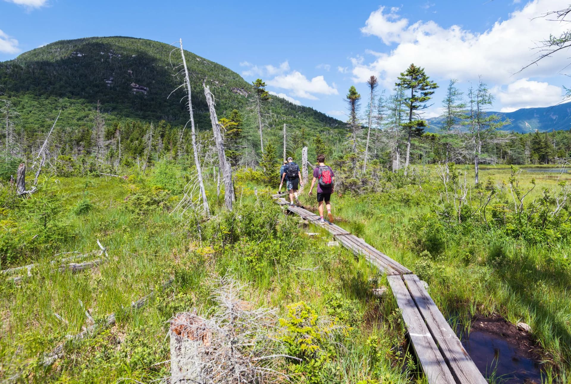 Hikers on a wooden boardwalk through a marshy area toward a forested mountain in New Hampshire.