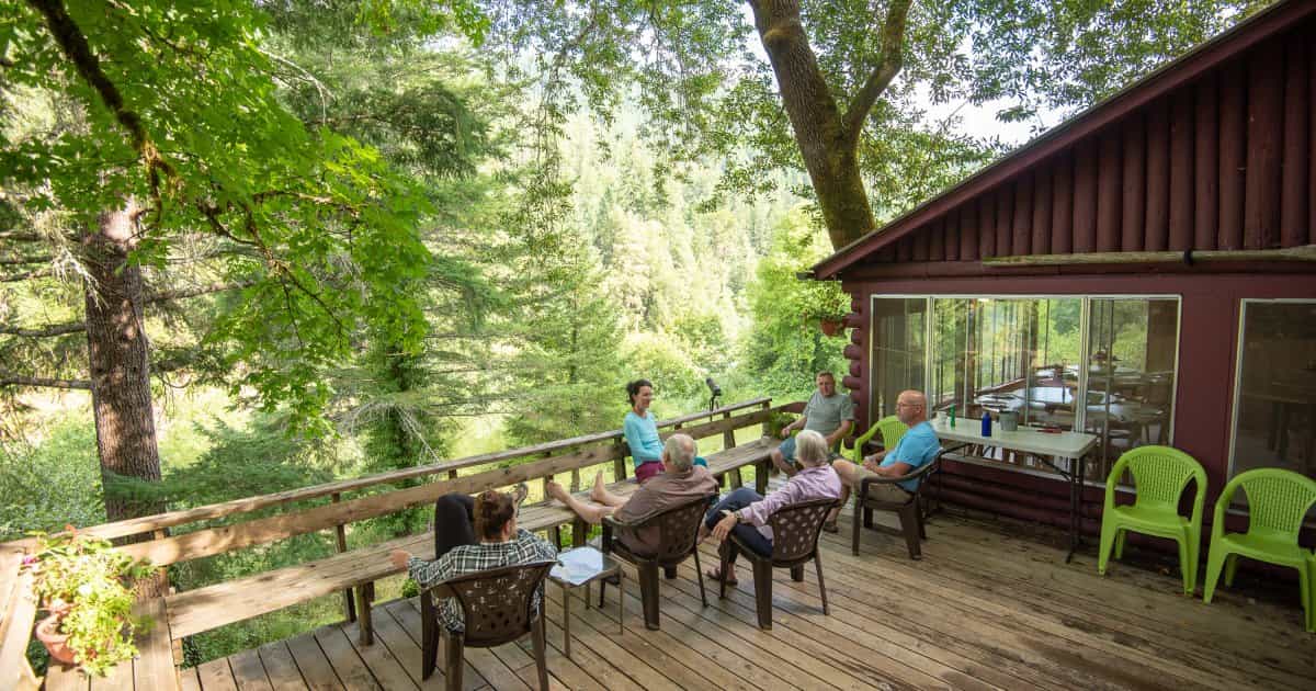 Group relaxing on wooden deck of log cabin overlooking dense green forest valley