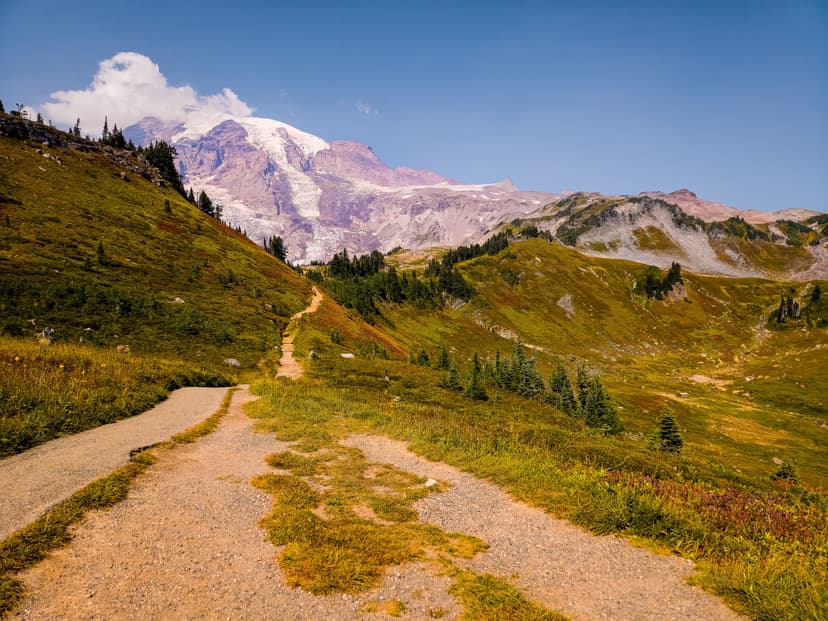 Hiking trail winding through alpine meadows toward Mount Rainier with snow-capped peak