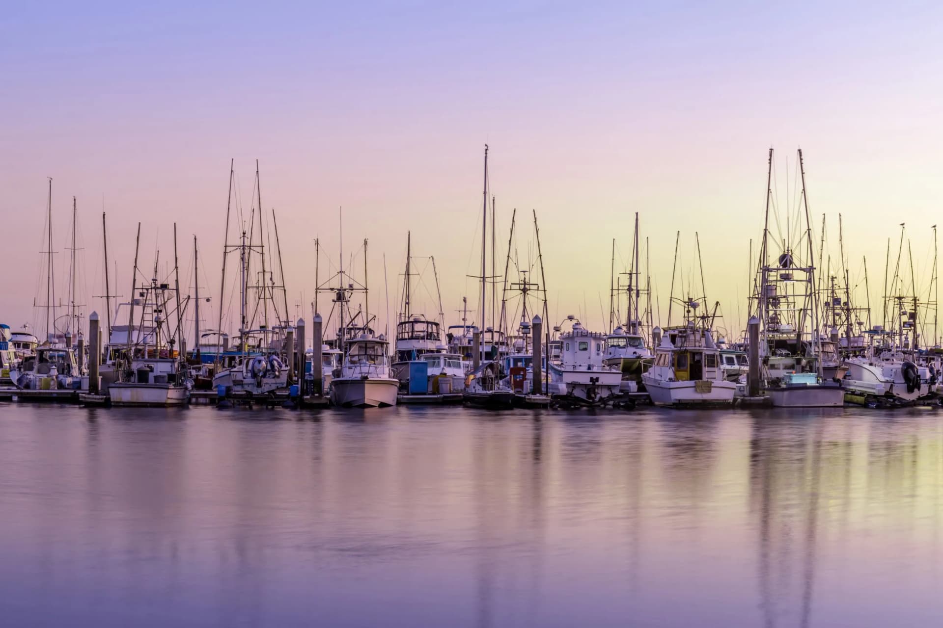 Boats Berthed at Pillar Point Harbor. Half Moon Bay, San Mateo County, California, USA.