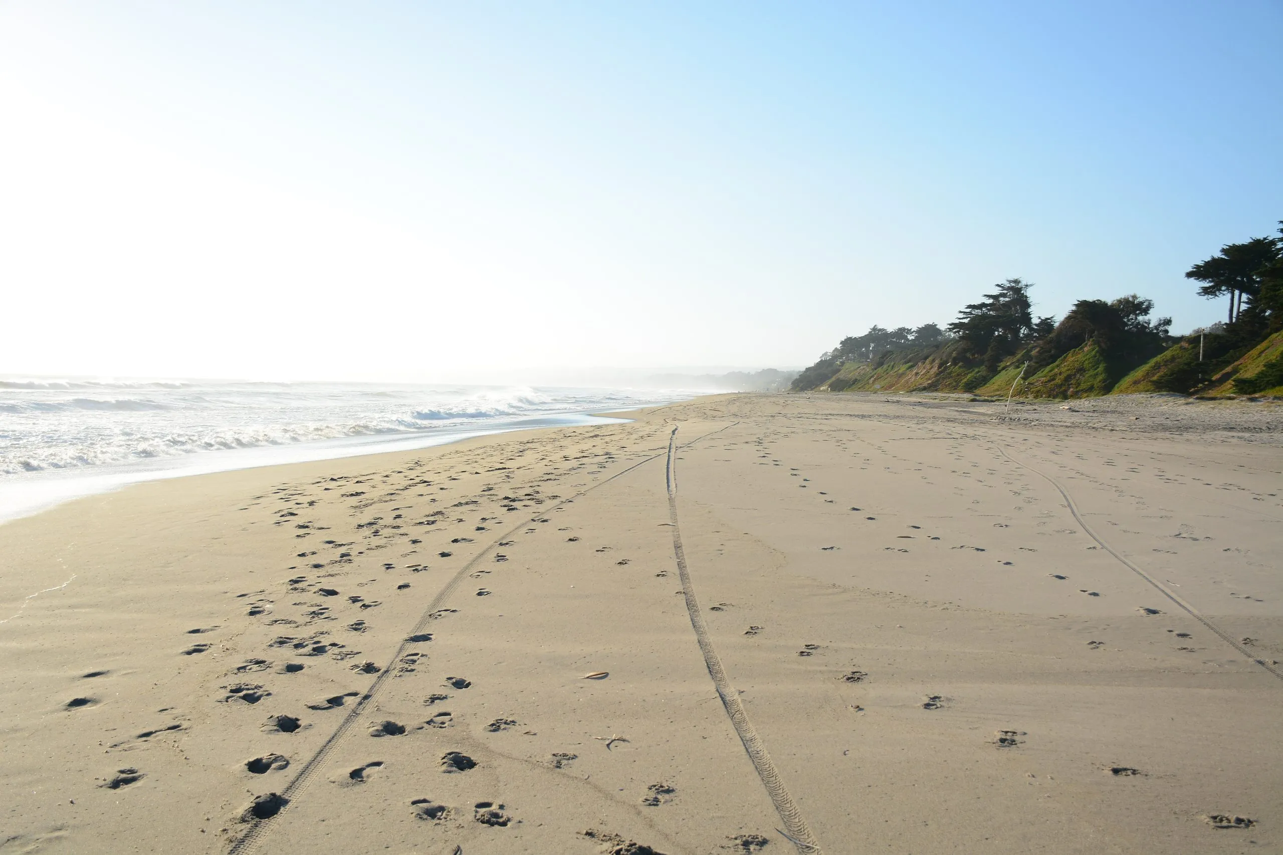 SANTA CRUZ, CALIFORNIA, USA - JULY 3, 2019: Manresa Uplands State Beach