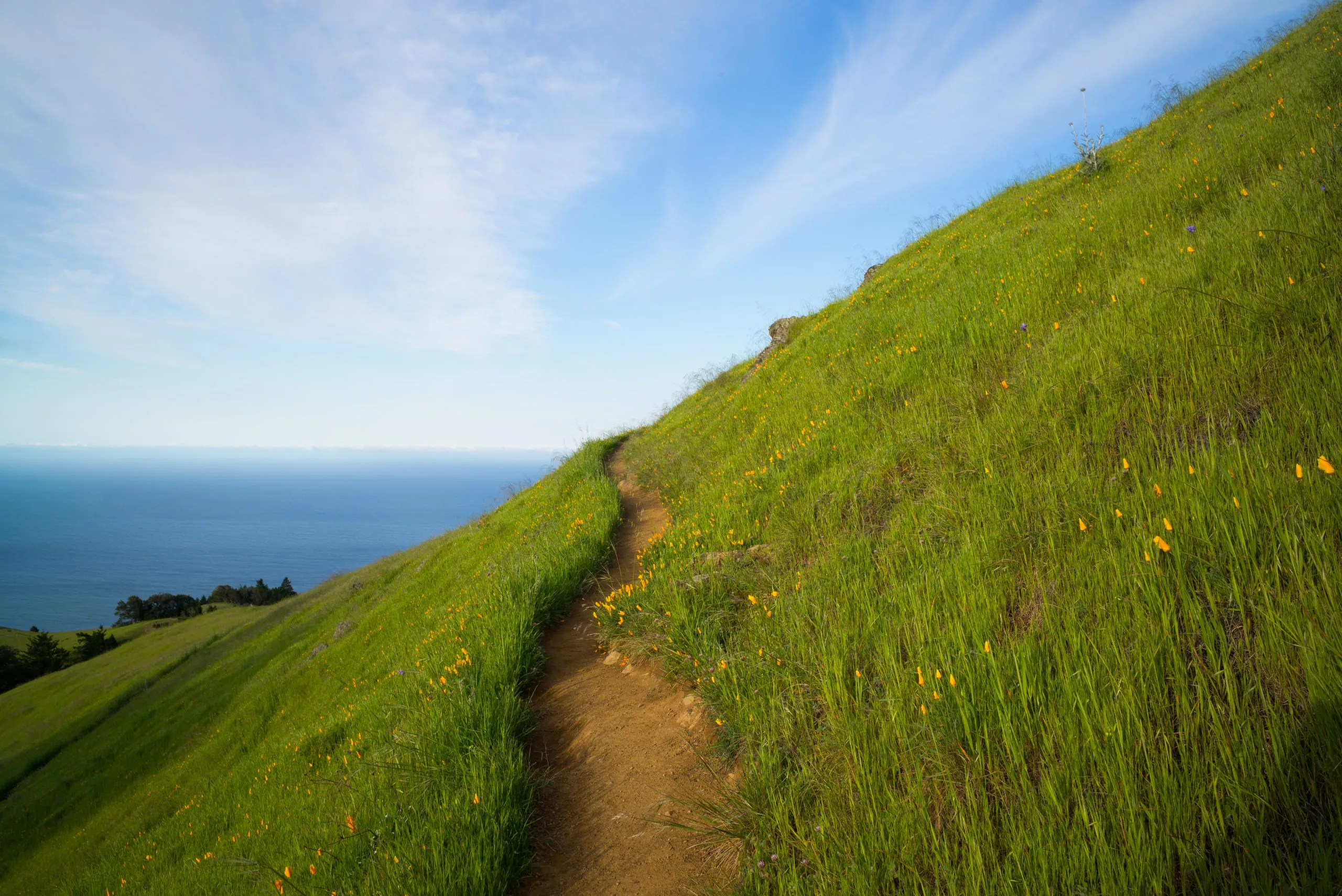 Path to the Pacific