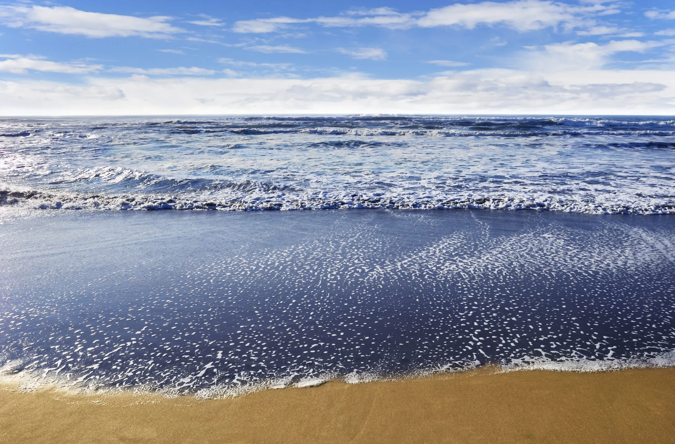 San Francisco beach